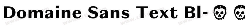 Domaine Sans Text Bl字体转换